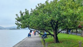 山东足球队赛季末连赢六轮冲刺59分冠军之路